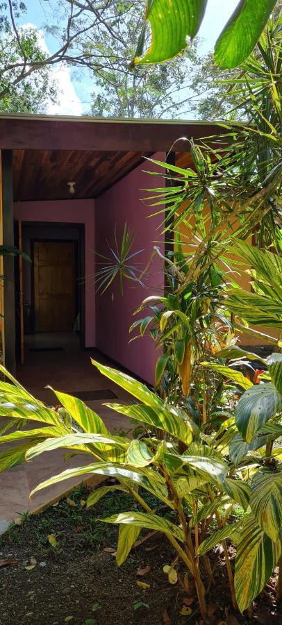 Ciudad Perdida Ecolodge 卡维塔 外观 照片