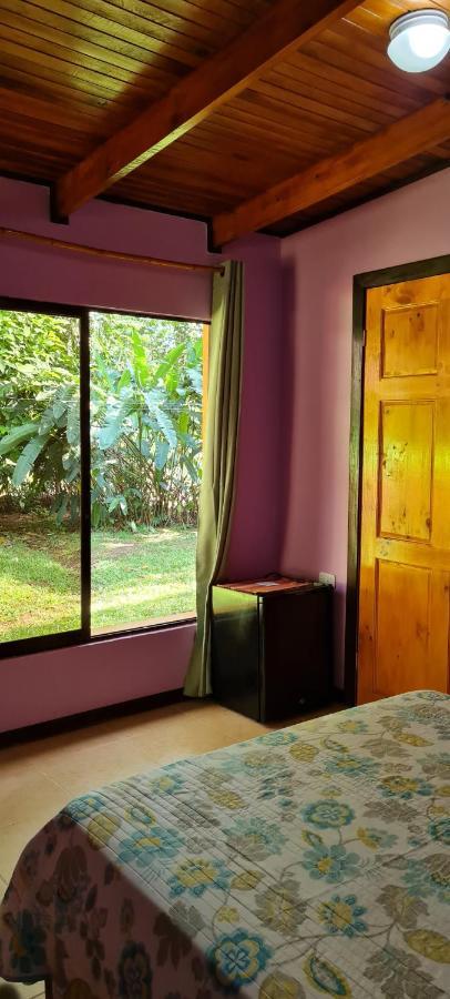 Ciudad Perdida Ecolodge 卡维塔 外观 照片