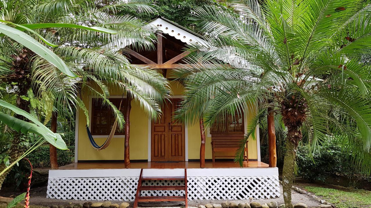 Ciudad Perdida Ecolodge 卡维塔 外观 照片