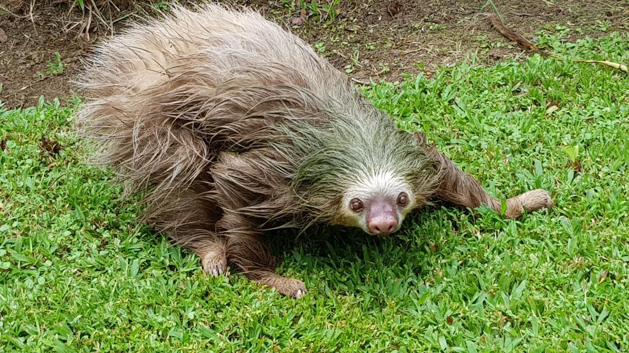 Ciudad Perdida Ecolodge 卡维塔 外观 照片