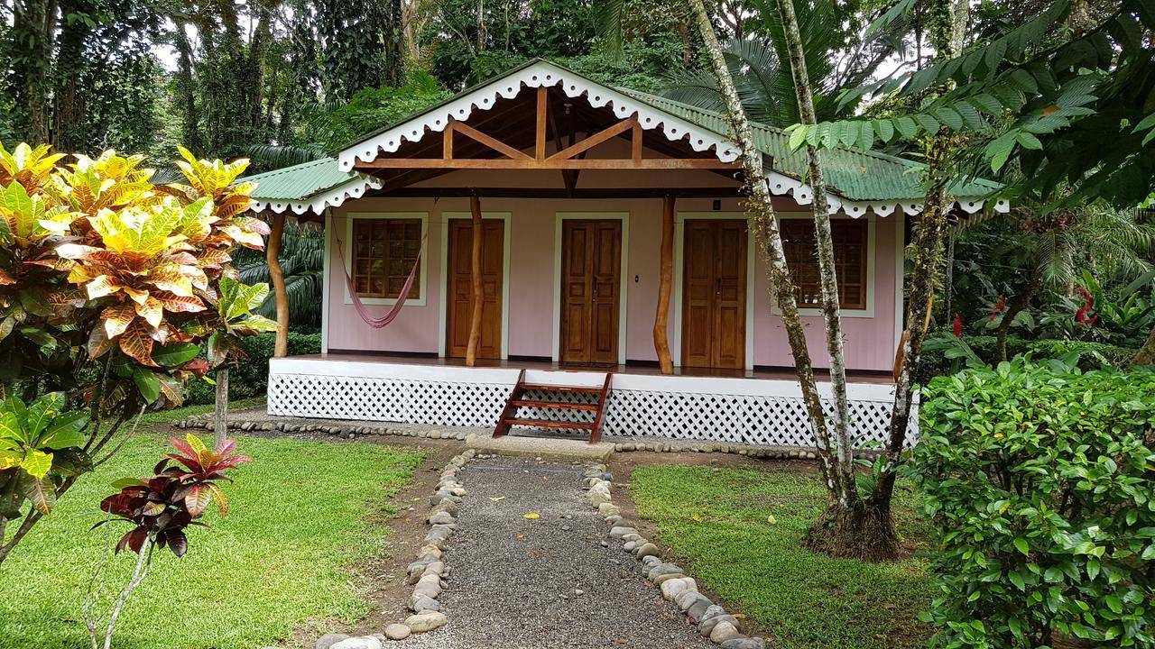 Ciudad Perdida Ecolodge 卡维塔 外观 照片