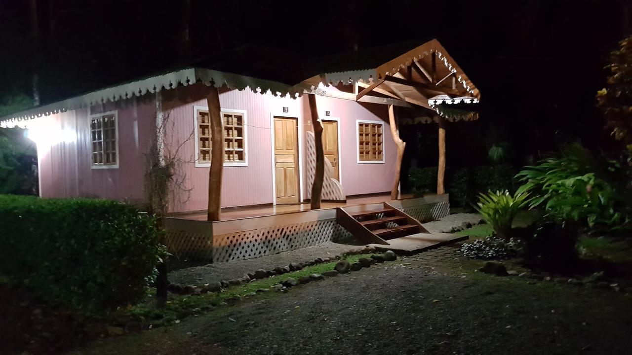 Ciudad Perdida Ecolodge 卡维塔 外观 照片
