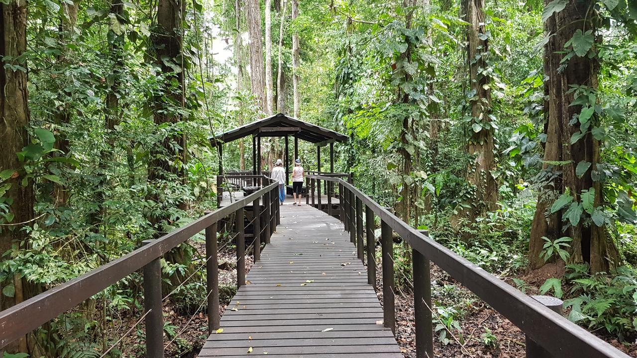 Ciudad Perdida Ecolodge 卡维塔 外观 照片