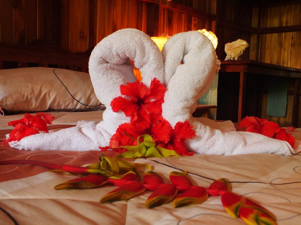 Ciudad Perdida Ecolodge 卡维塔 客房 照片