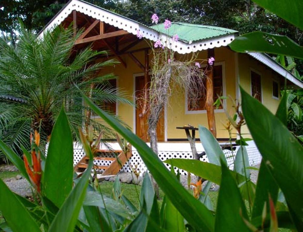 Ciudad Perdida Ecolodge 卡维塔 外观 照片